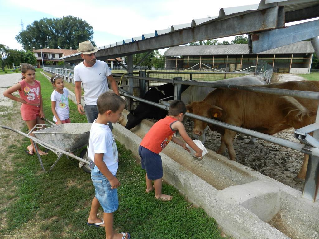 Готель Agriturismo Zio Michele Ізола-делла-Скала Екстер'єр фото