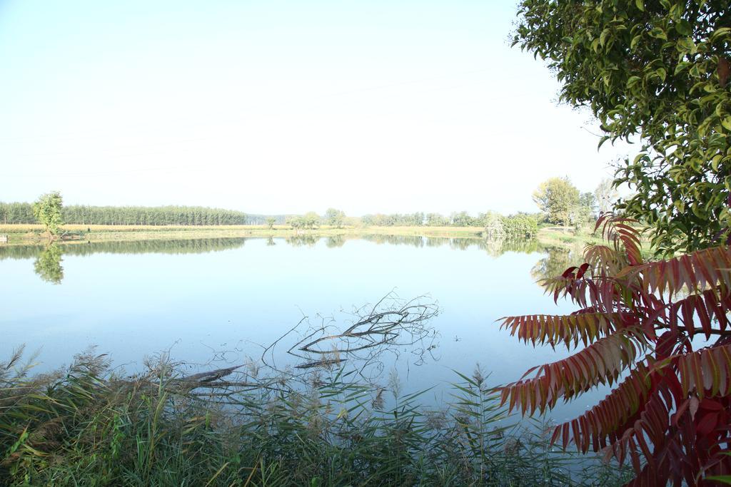 Готель Agriturismo Zio Michele Ізола-делла-Скала Екстер'єр фото